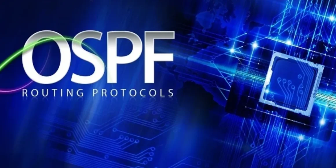 ospf nedir