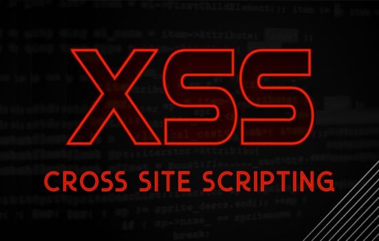 xss nedir